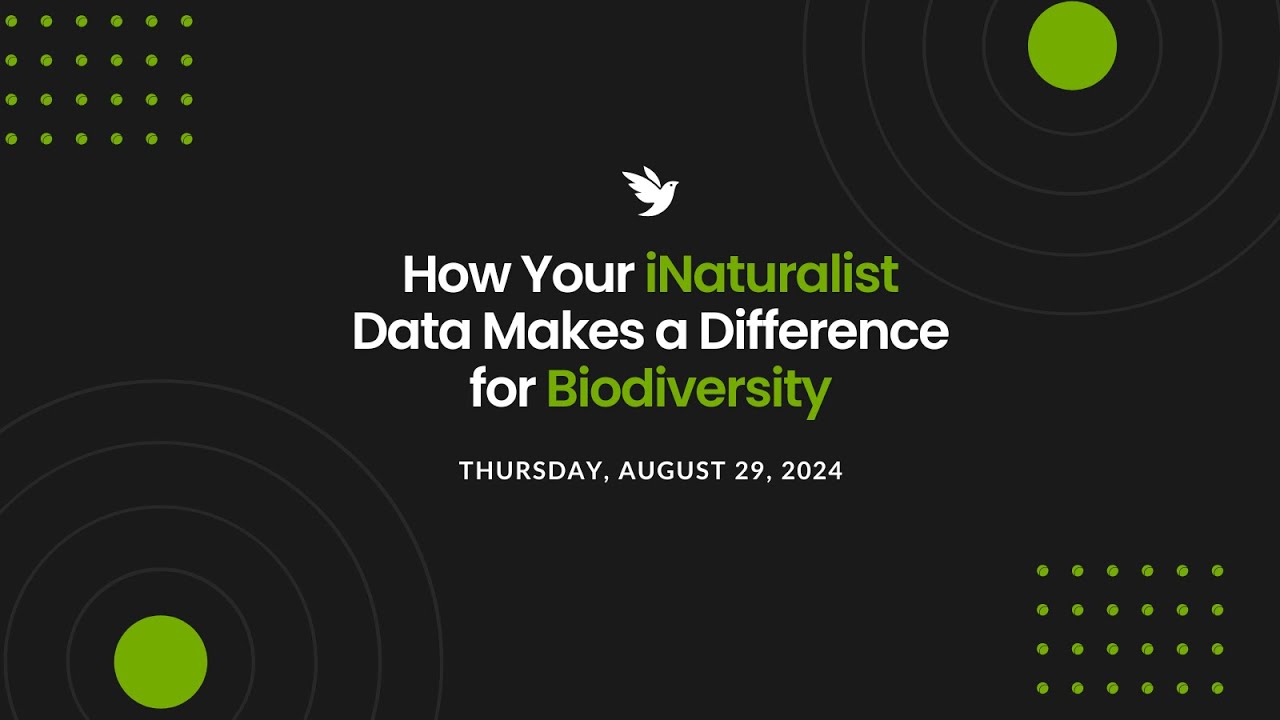 Webinar: How Your iNaturalist Data Makes a Difference for Biodiversity
