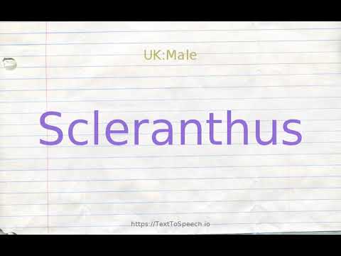 How to pronounce scleranthus