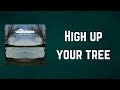 THE CHARLATANS - High up your tree (Lyrics)