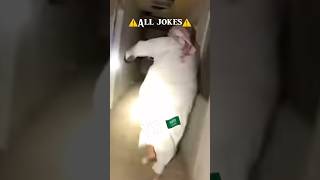 USA 🇺🇸: we have the best Ghost hunters VS 🇸🇦👻