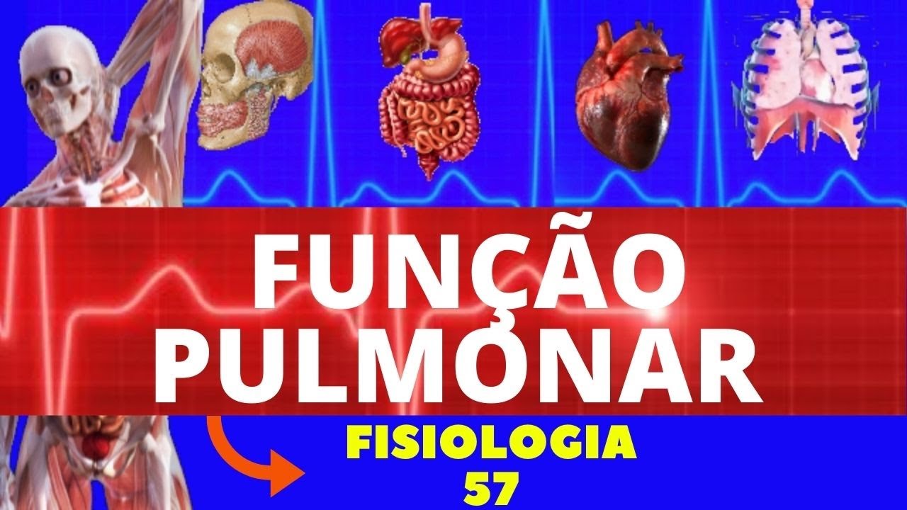 FUNÇÃO PULMONAR (FISIOLOGIA HUMANA) - FISIOLOGIA DE GUYTON - FISIOLOGIA RESPIRATÓRIA