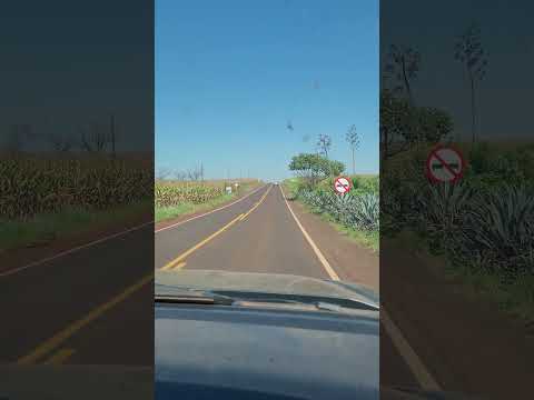 Rancho Alegre Paraná ❤️