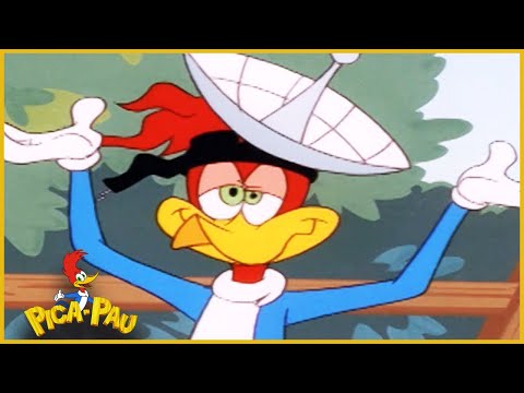 Capa de Pica-Pau - O Pica-Pau e o Cupim