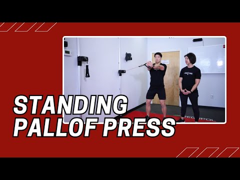 Pallof Press exercise video
