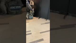 1000円ガチャ回して見た結果wwwww