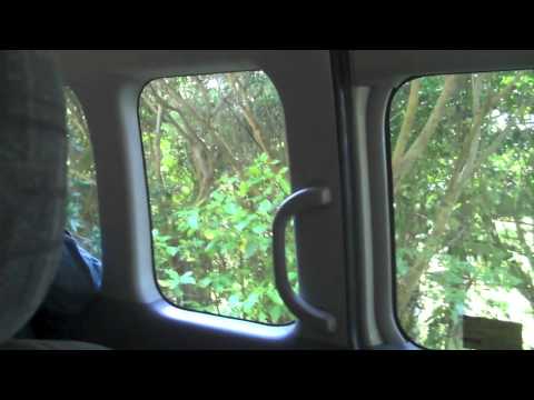 FuntCase New Zealand Tour (featuring - Bare Noize, Eddie K, Gemini and Chasing Shadows)