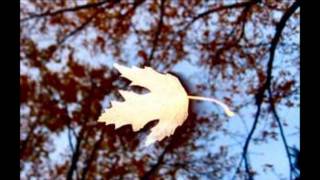 Justin Hayward: I Heard It