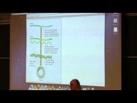 Kevin Ahern's BB 350 (Biotechnology II) 2014 - #23