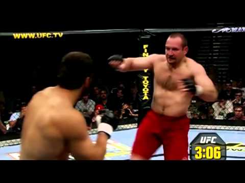 TOP 10 Andrei Arlovski Knockouts