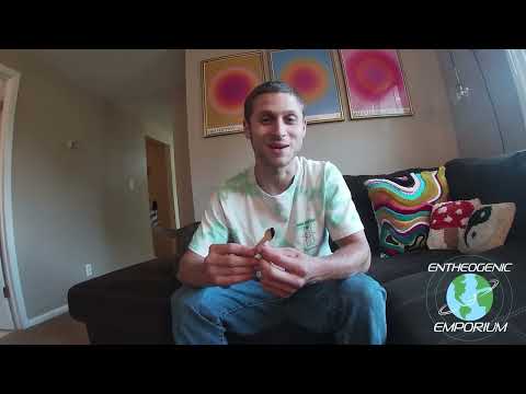 HIGH DOSE KANNA REVIEW- Half Gram Orally Experience