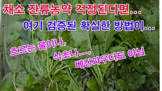 채소 잔류 농약 걱정 된다면 여기 검증된 확실한 방법이 있습니다. 흐르는 물에도, 식초나 베킹파우더도 아닙니…