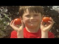Teletubbies Colours Red