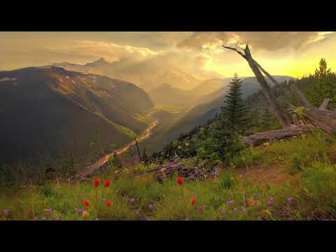 Cântare creștină cu versuri "Numai în Tine mă încred" - Mariana Someșan