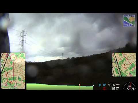 New Year Orienteering 2016