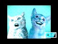 Not Sure What I Did To Numa Cat