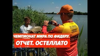 Ссылка