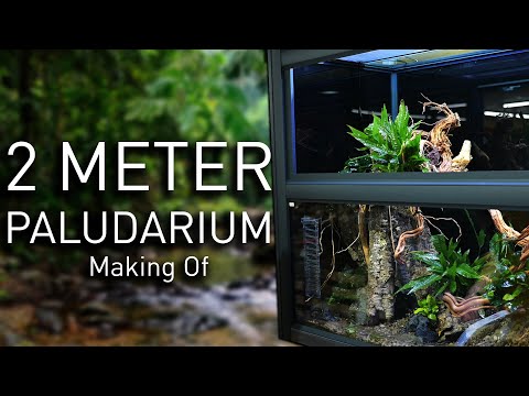 Making Of  vom 2 Meter Paludarium!