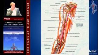 Download Lagu Anatomy and Physiology (Malachi Sheahan, MD) Thumbnail