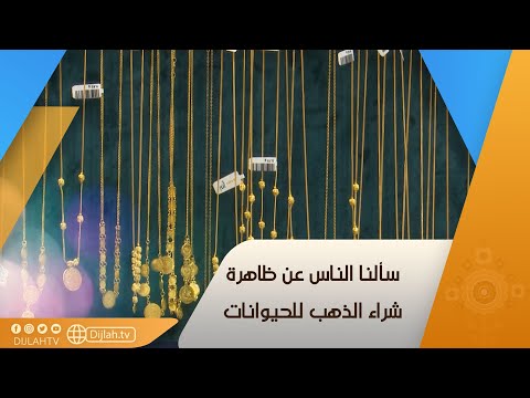 شاهد بالفيديو.. سألنا الناس عن ظاهرة شراء الذهب للحيوانات ..