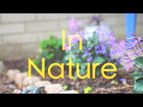 In Nature - Music By Khari Mateen