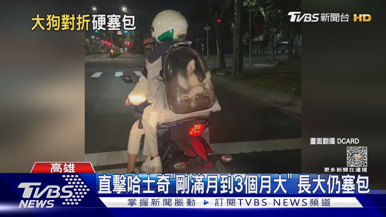 虐狗?哈士奇「身體對折」塞太空包 高市府:最重罰7.5萬