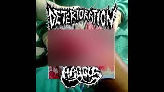 Haggus / Deterioration - split 7