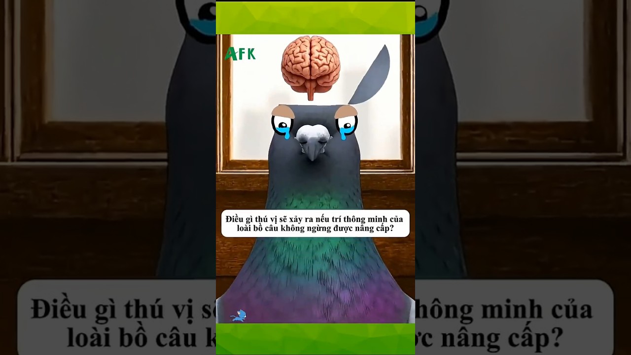 Bồ câu nâng cấp trí thông minh