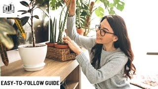 How to Start an Indoor Plant Business Online | Step-by-Step Guide