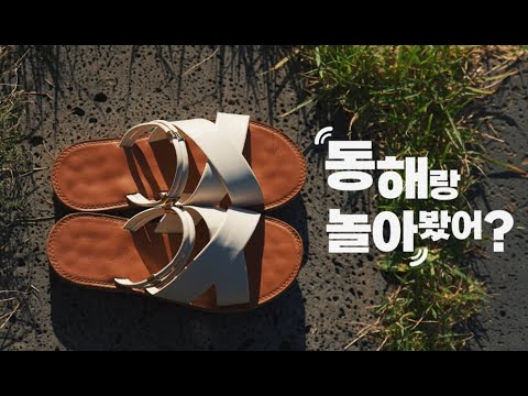 동해시