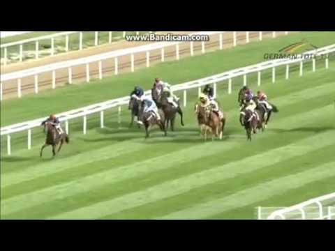 Alinaro im BBAG Auktionsrennen