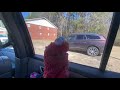 Elmo World Dorothy Taxi Question