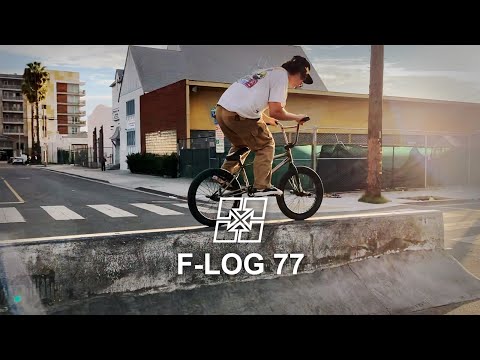 F-LOG 77 - MAN WITH A PLAN