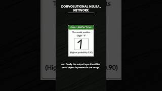 Convolutional Neural Network - CNN