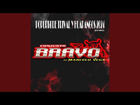 Popurri De Trival Y Huapangos 2024 (En Vivo)