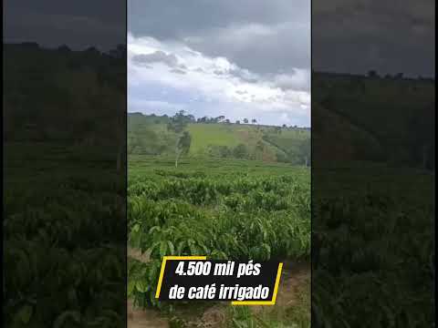 Chácara à Venda – Área: 10 alqueires  Alto Alegre dos Parecis RO 💰 Valor: R$ 850.000,00🤝