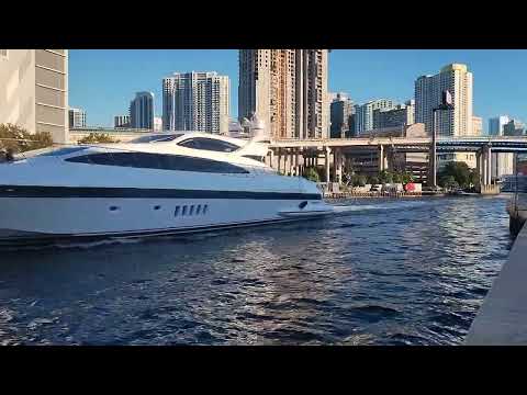 Miami Live Video #1852