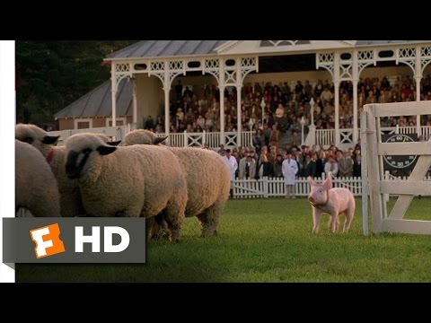 Babe (8/9) Movie CLIP - The Sheep Pig (1995) HD