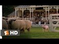 Babe (8/9) Movie CLIP - The Sheep Pig (1995) HD