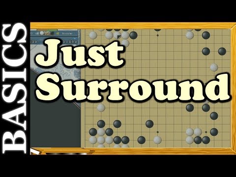 Go Back to Basics - ShoDan Basics