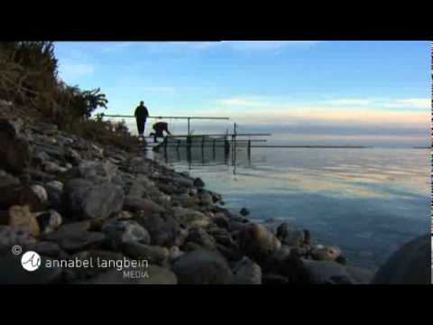 Whitebait Fishing, The Free Range Cook series one