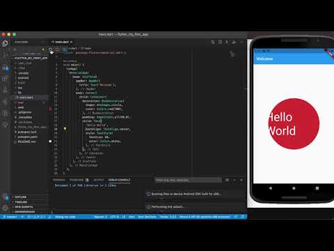 Flutter Basics - The Container Widget