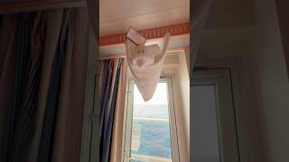 #cruise#australia#carnivalsplendor#travel#travelvlog#traveling#travelling#family#memories#minivlog