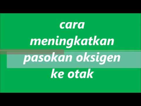 Palu maynkraft tim Thor Torus palu jimat