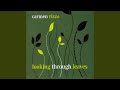 Bring the Mountain Down Feat. Grant Lee Phillips