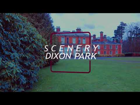 Gold Videography video.