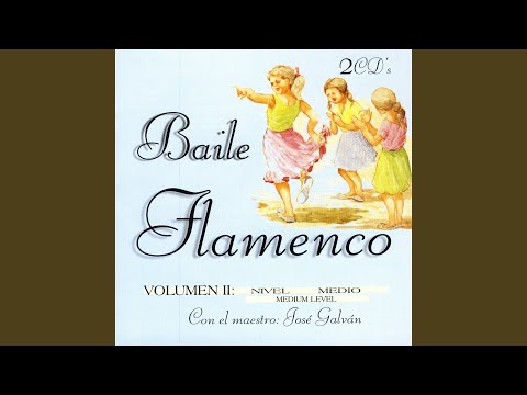 Zorongo sin Baile Flamenco