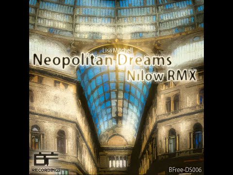 Lisa Mitchell - Neopolitan Dreams (Nilow Remix) [DS006]