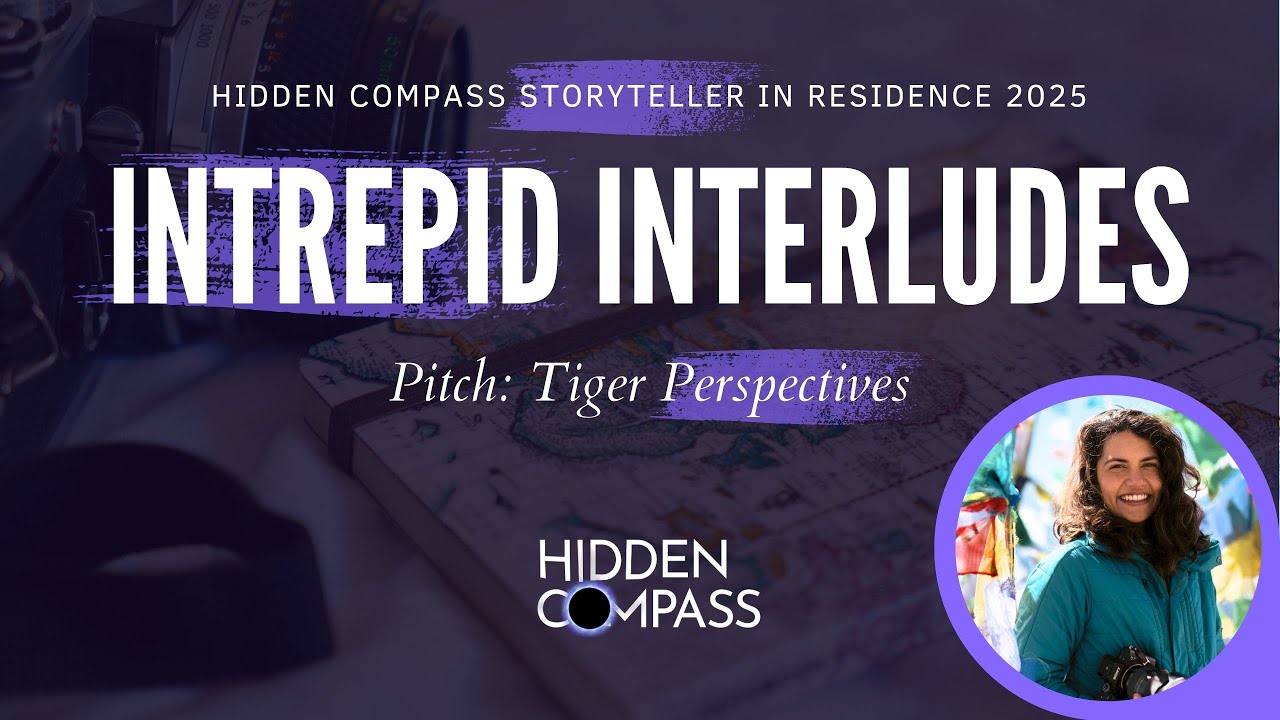 Pitch No. 1: Tiger Perspectives | 2025 Intrepid Interludes