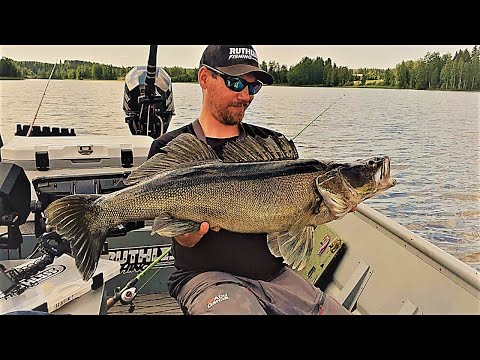 ISOJA KUHIA JA HAUKIA ! | MISTÄ ISOJA KALOJA KANNATTAA ETSIÄ ?