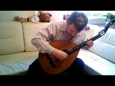 Sarabande by J.A.Losy on Antique 10-string Lute-Guitar